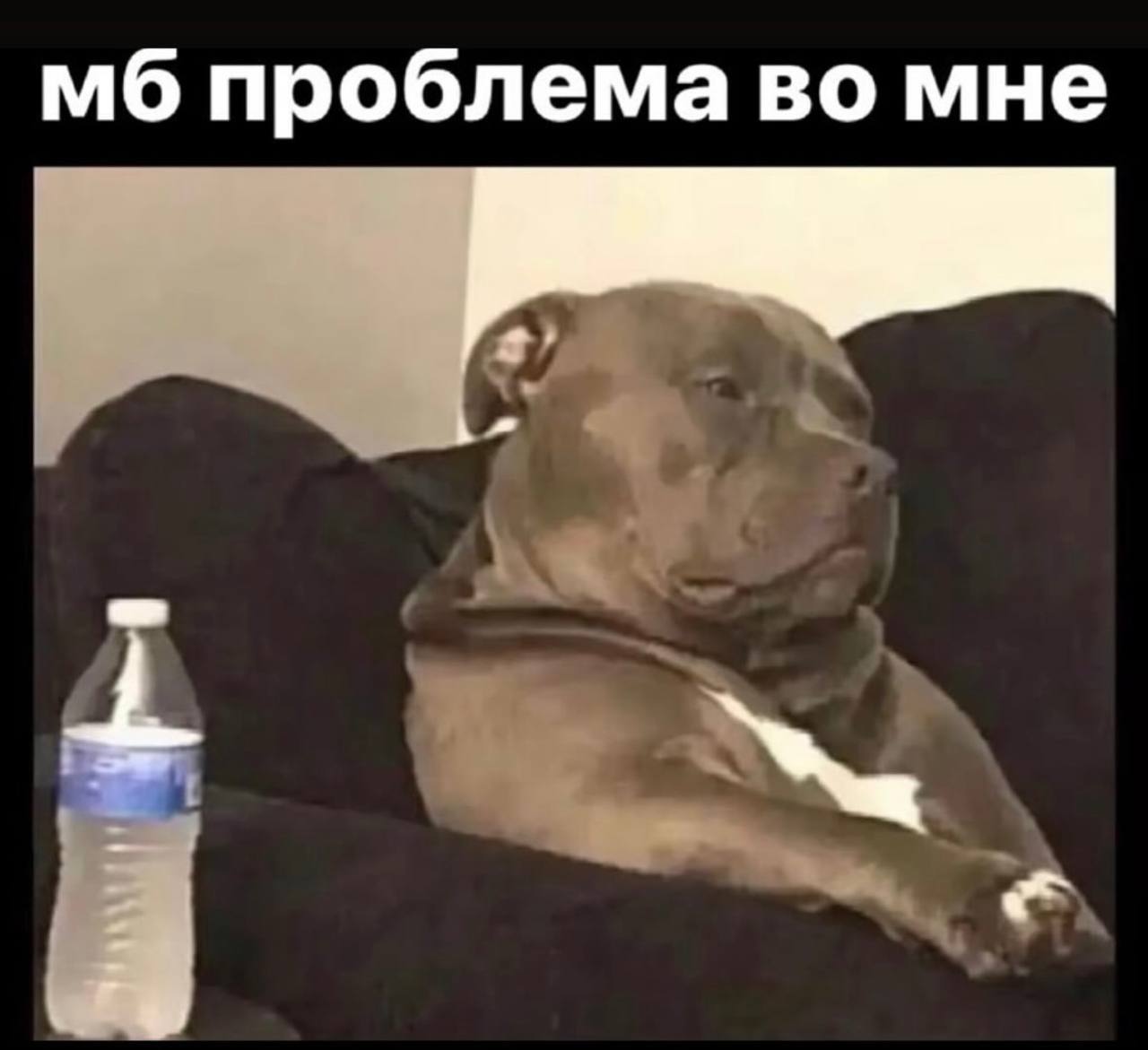 проблема во мне