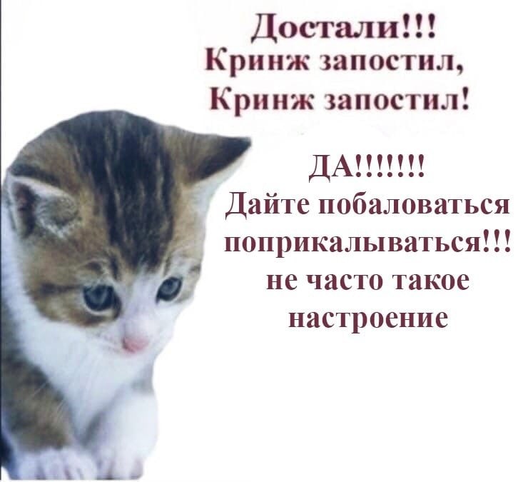 Достали!!! Кринж запостил, Кринж запостил! ДА!!!!!!! Дайте побаловаться поприкалываться!!! не часто такое настроение