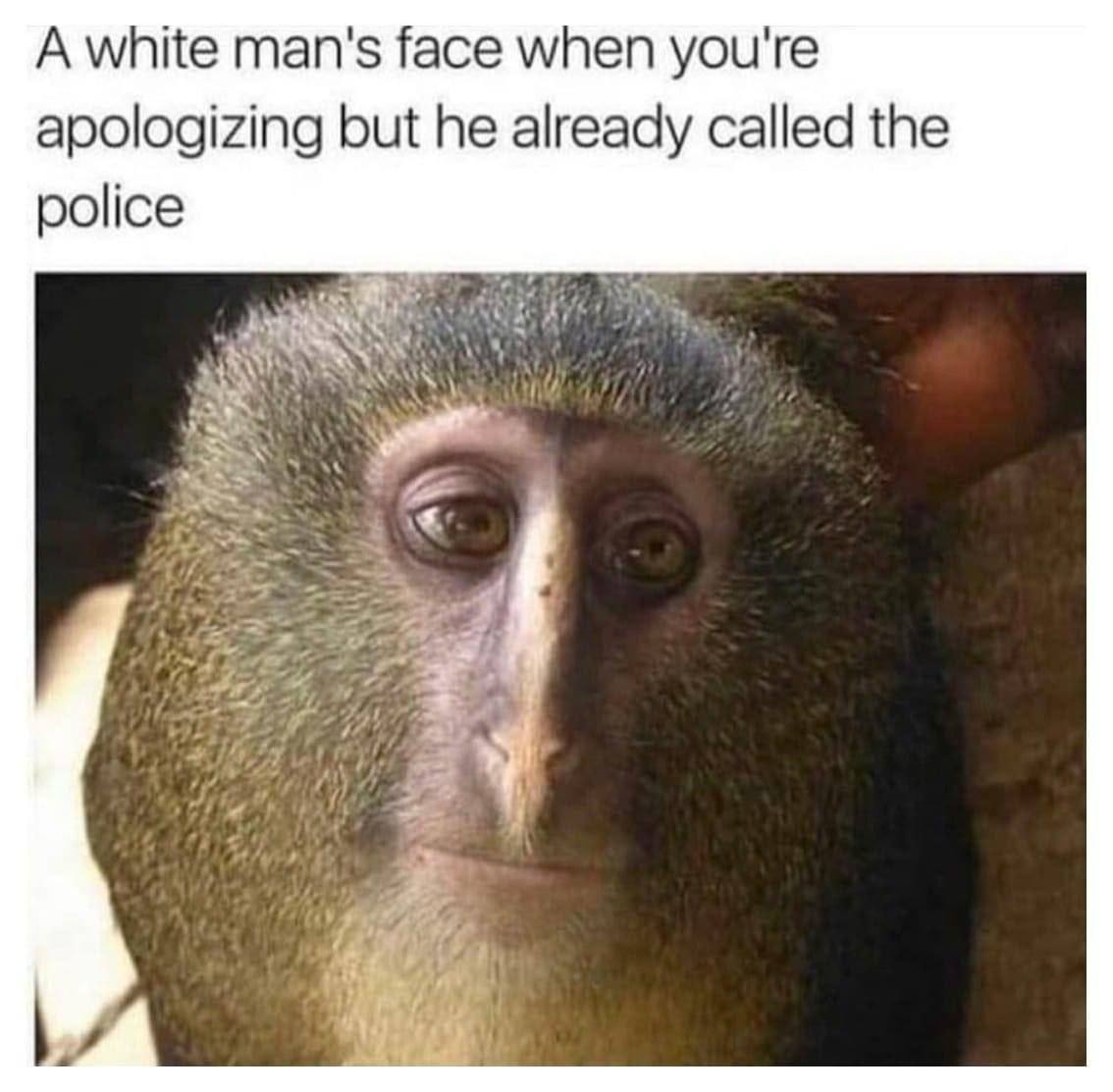 A white man's face when you're apologizing but he already called the police