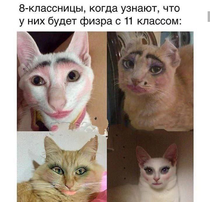 8-классницы, когда узнают, что у них будет физра с 11 классом: