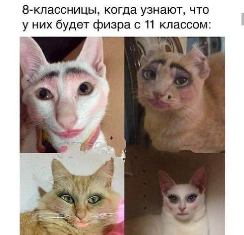8-классницы, когда узнают, что у них будет физра с 11 классом: