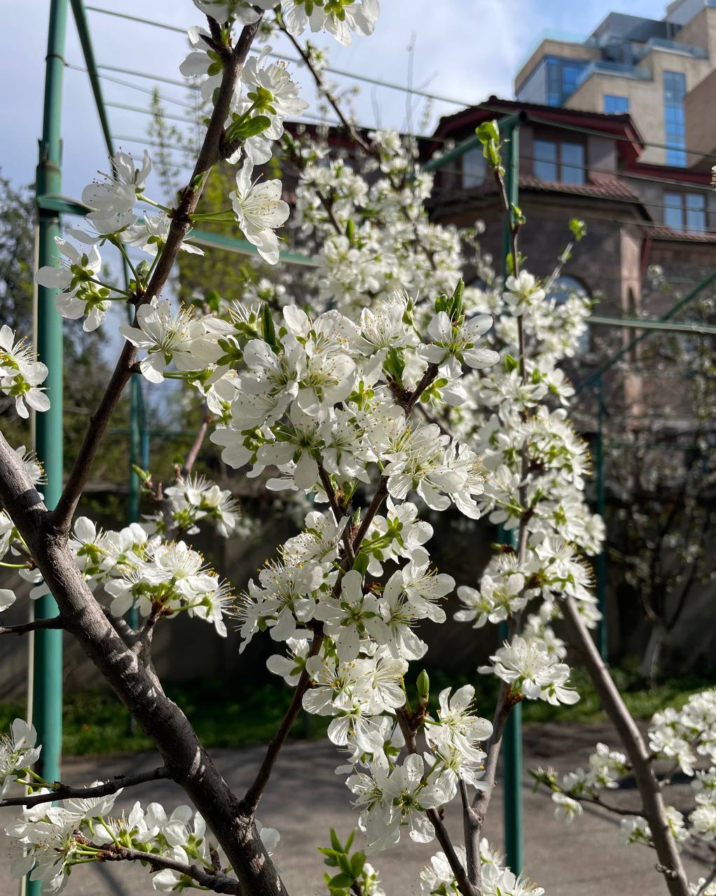 Контент для взрослых: 30+