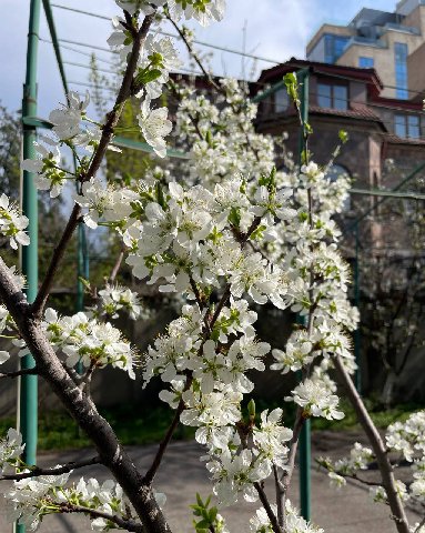 Контент для взрослых: 30+