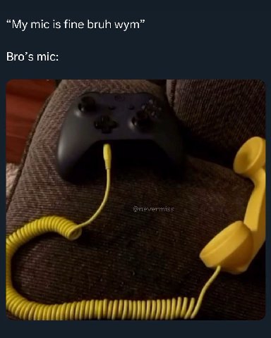 “My mic is fine bruh wym” Bro’s mic: