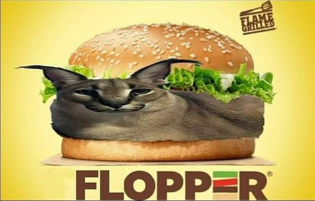 FLOPP=ER