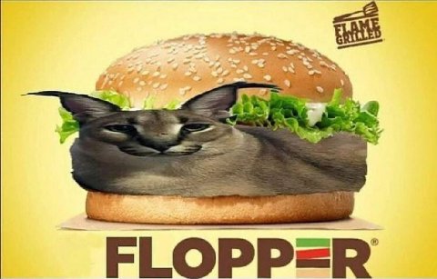 FLOPP=ER
