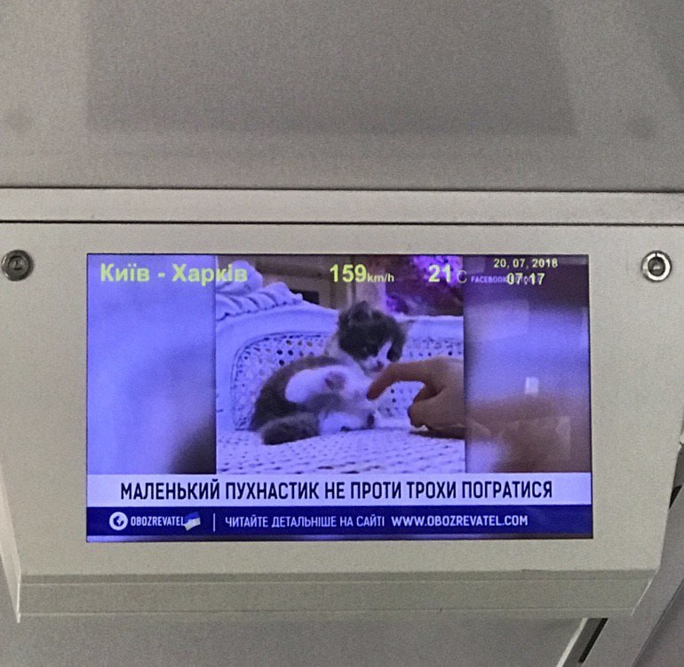 МАЛЕНЬКИЙ ПУХНАСТИК HE ПРОТИ ТРОХИ ПОГРАТИСЯ о ЧИТАЙТЕ ДЕТАЛЬНШЕ НА CAATI