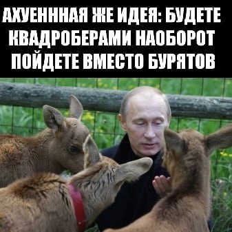 АХУЕНННАЯ hE ИДЕЯ: БУДЕТЕ КВАДРОБЕРАМИ НАОБОРОТ ПОИДЕТЕ ВМЕСТО БУРЯТОВ
