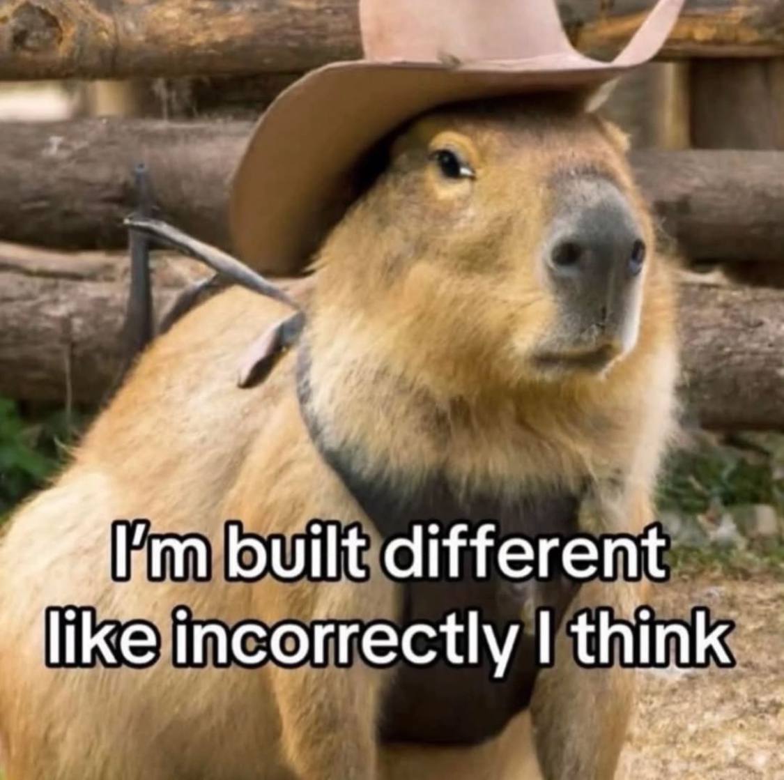 built different like incorrectly think