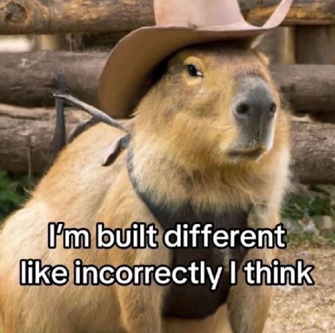 built different like incorrectly think