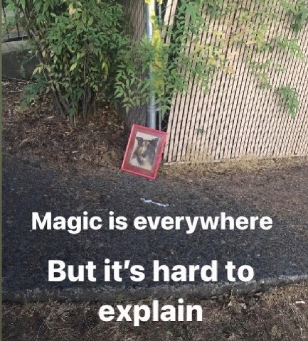 Magic is everywhere explain