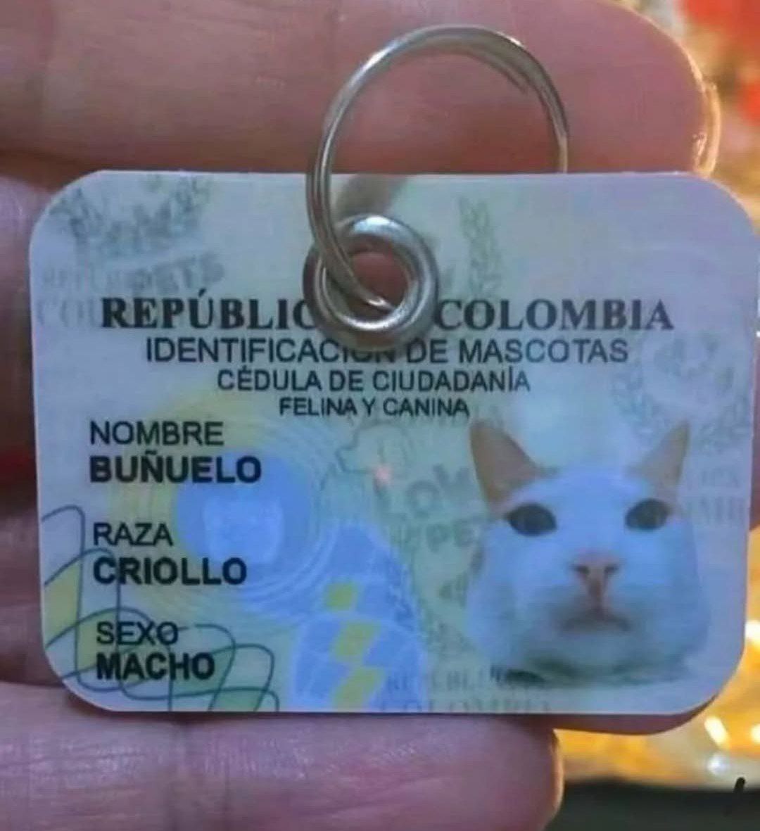 4 COLOMBIA MASCOTAS CEDULA CIUDADANIA FELINA У CANINA BUNUELO a