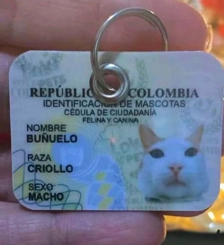 4 COLOMBIA MASCOTAS CEDULA CIUDADANIA FELINA У CANINA BUNUELO a