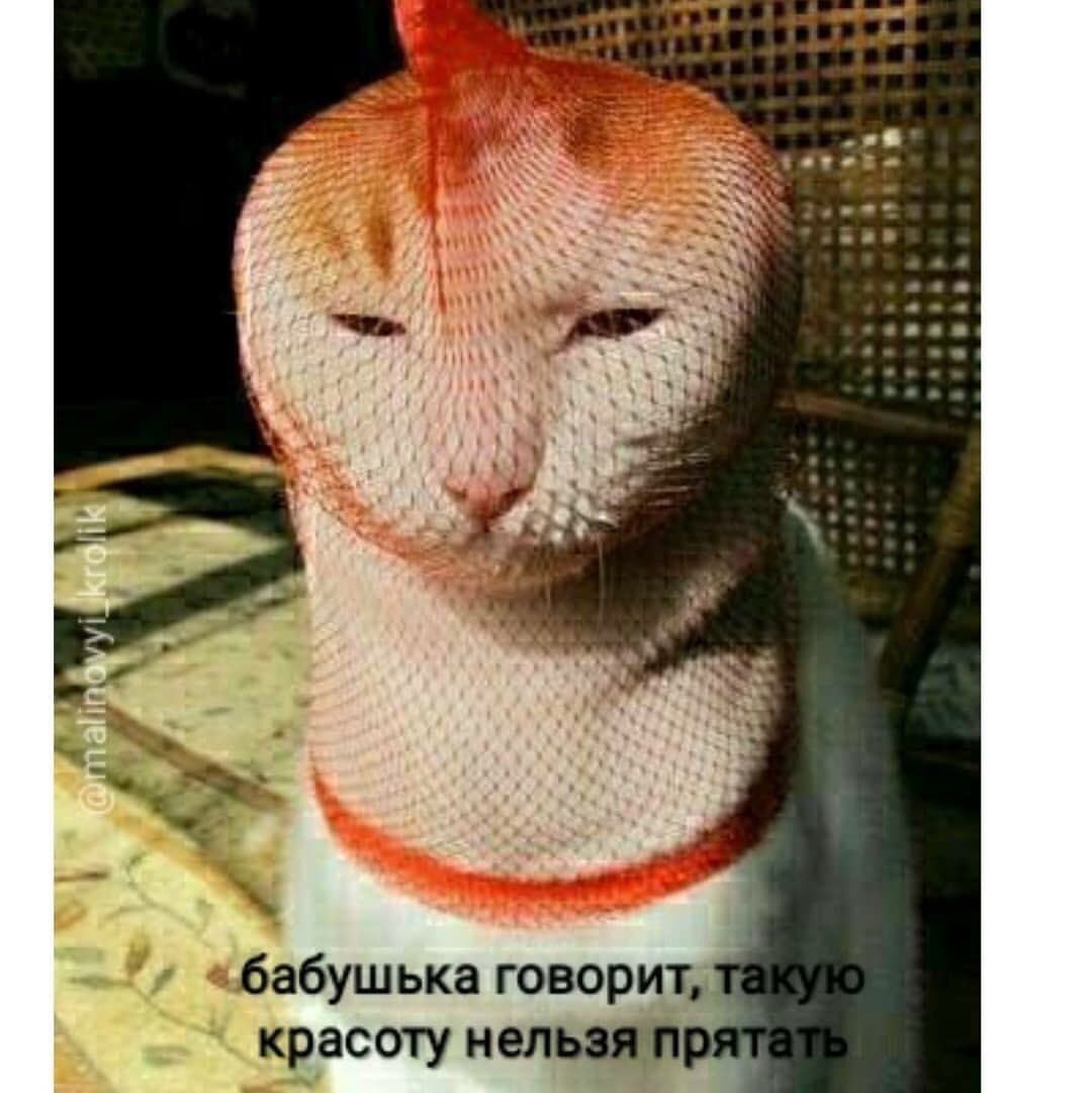 «бабушька говорит, красоту нельзя
