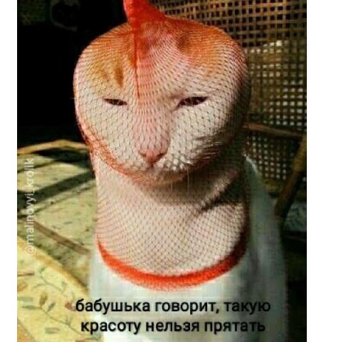 «бабушька говорит, красоту нельзя