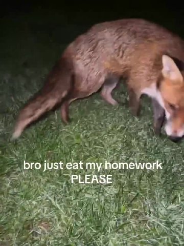 bro just eat my homework PLEASE