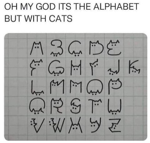 ОН MY GOD ITS THE ALPHABET BUT WITH CATS