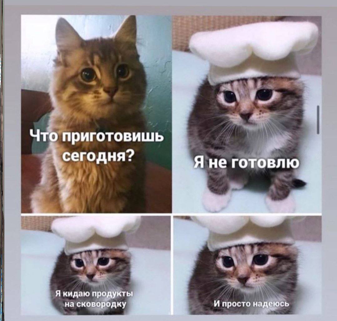 и i| Что приготовишь 1% сегодня? не "4 Я кидаю продукты на сковородку И просто надеюсь a