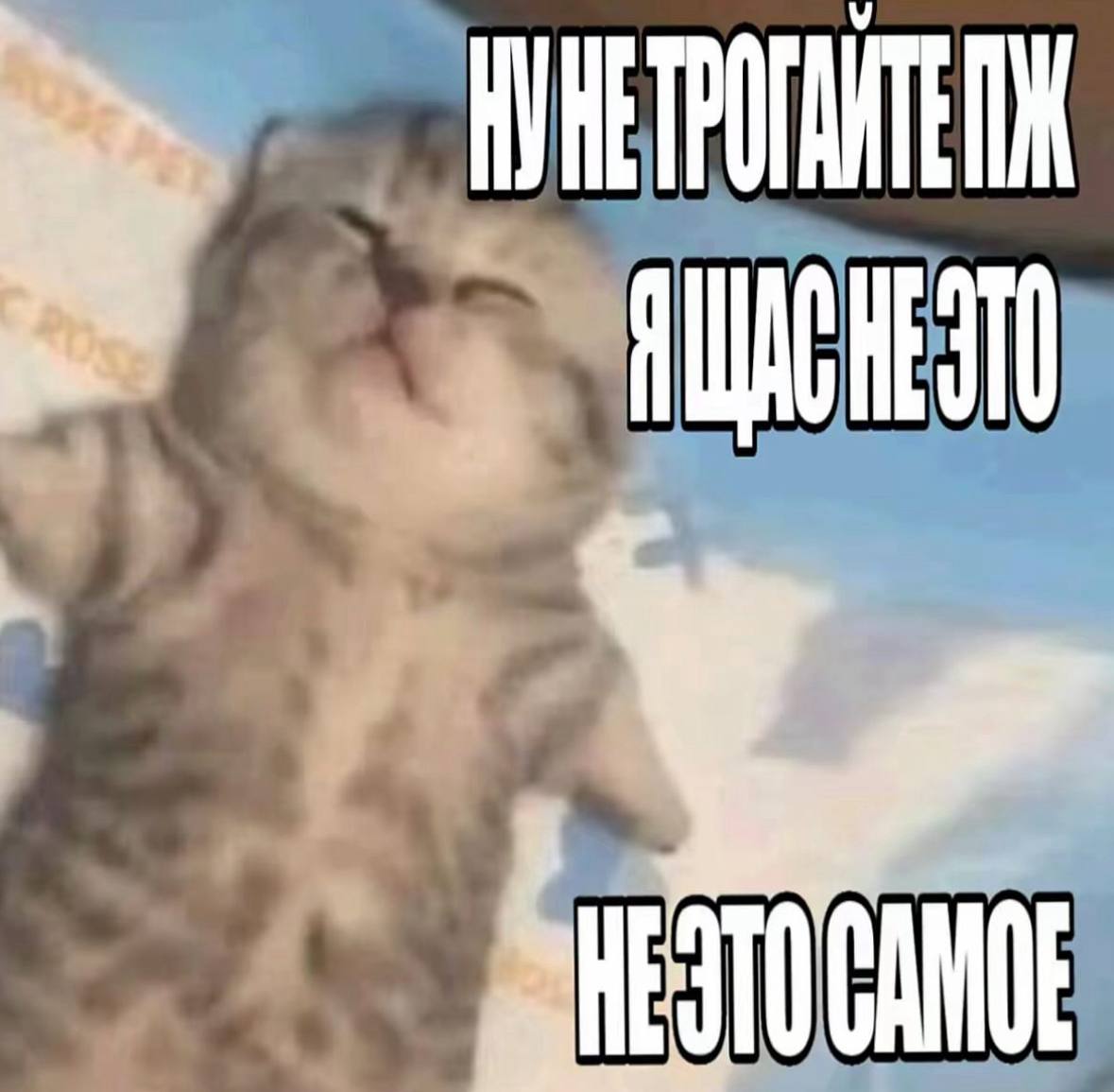 НУНЕТРОГАИТЕПЖ HEAT А = НЕЗТОСАМОЕ