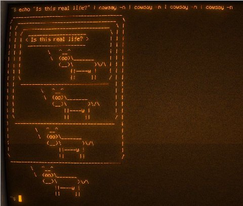 Am I in bare metal reality or am I in the nested cow hypervisor?