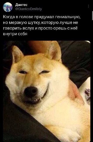 у Дантес @DantesDmitriy Когда в голове придумал гениальную, но мерзкую шутку, которую лучше не говорить вслух и просто орешь с неё внутри себя