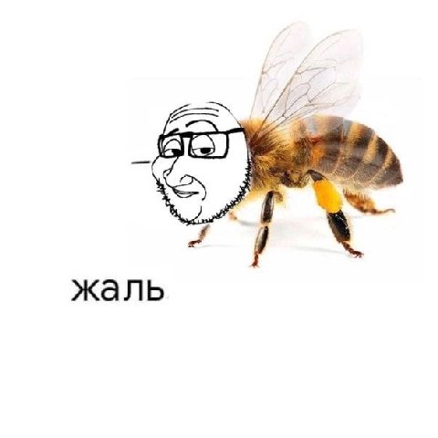 жаль