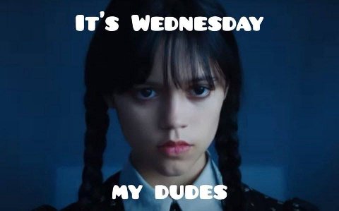 WEDNESDAY MY DUDES