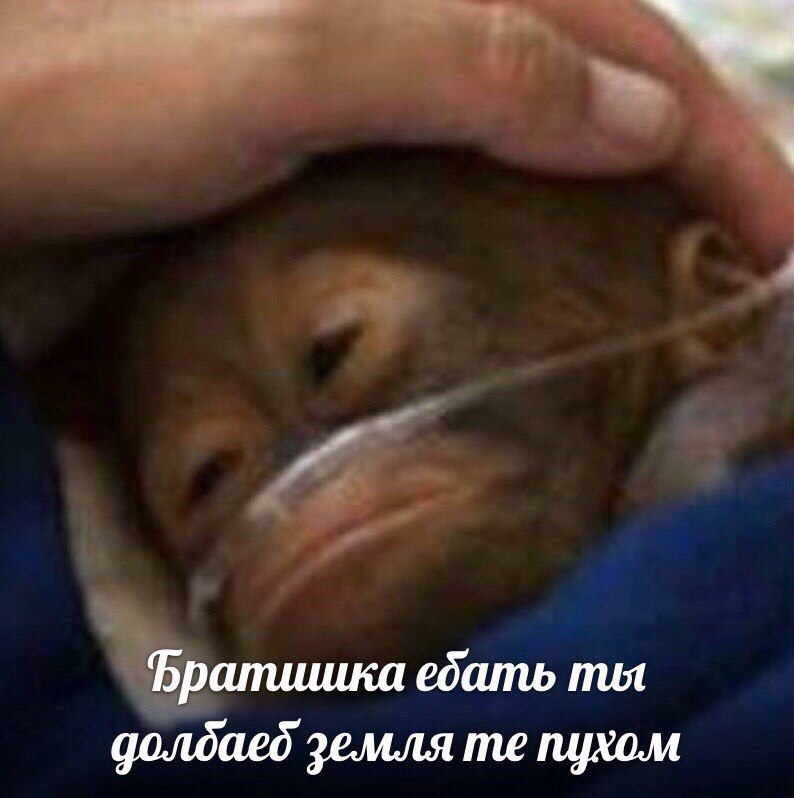 Фралииика ебать mut долдаеб земля пухом