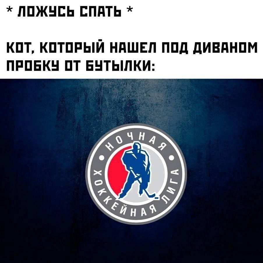 ЛОЖУСЬ СПАТЬ КОТ, КОТОРЫЙ НАШЕЛ ПОД ДИВАНОМ ПРОБКУ ОТ БУТЫЛКИ: