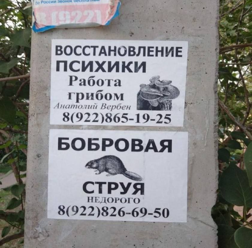 ВОССТАНОВЛЕНИЕ “a Работа грибом Анатолий Вербен $(92 22)865-19- 25 a БОБРОВАЯ СТРУЯ НЕДОРОГО 8(922)826-69-50