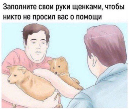 Заполните свои руки щенками, чтобы никто не просил вас о помощи a