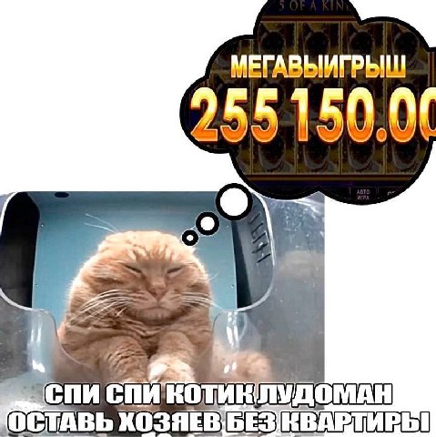 МЕГАВЫИГРЫШ 255150 9 cnt КОТИК Pal ОСТАВЬ ХОЗЯЕВ]