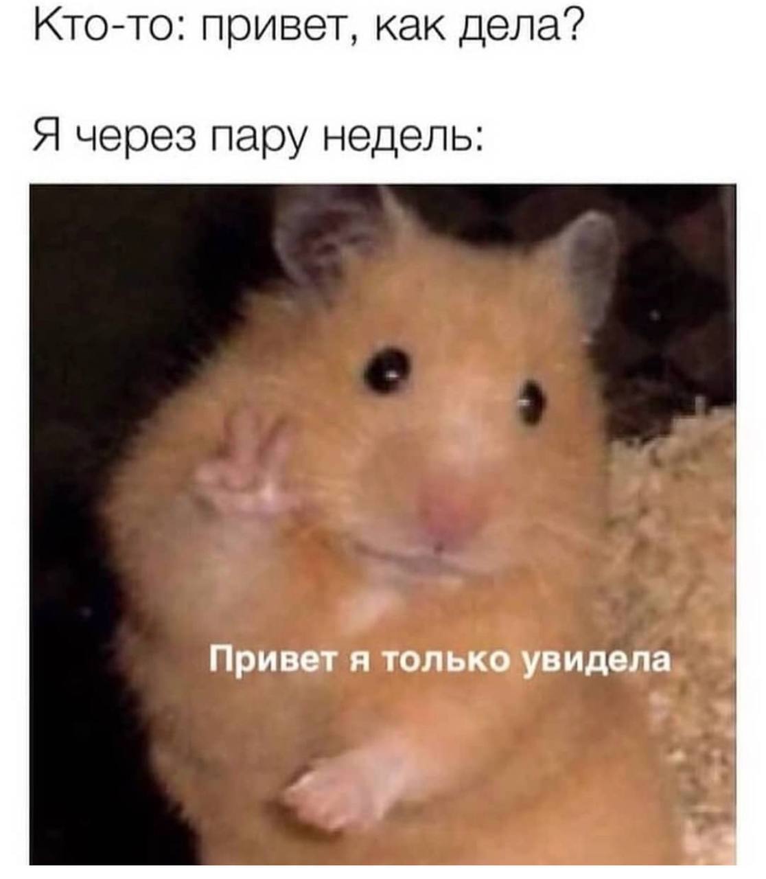 Кто-то: привет, как дела? Я через пару недель: Привет A только увидела.