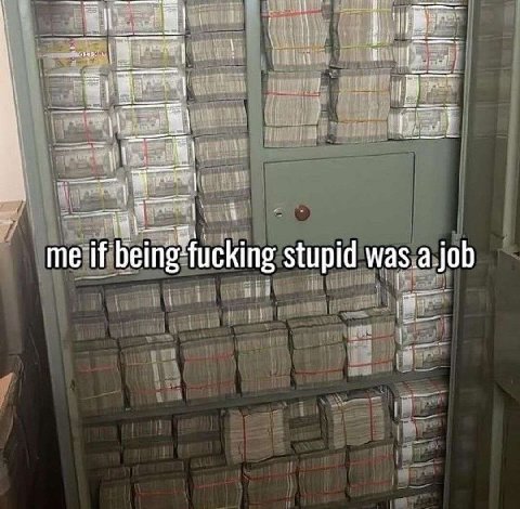 me if being-fucking stupid was.a job