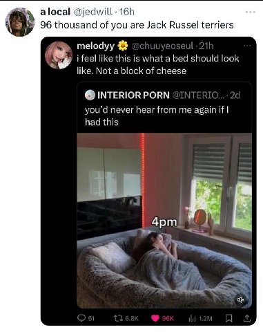 alocal 96 thousand of you are Jack Russel terriers 3% i feel like this is what a bed should look like. Not a block of cheese INTERIOR PORN you’d never hear from me again if had this а