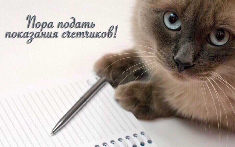 Nova подать показания 6!