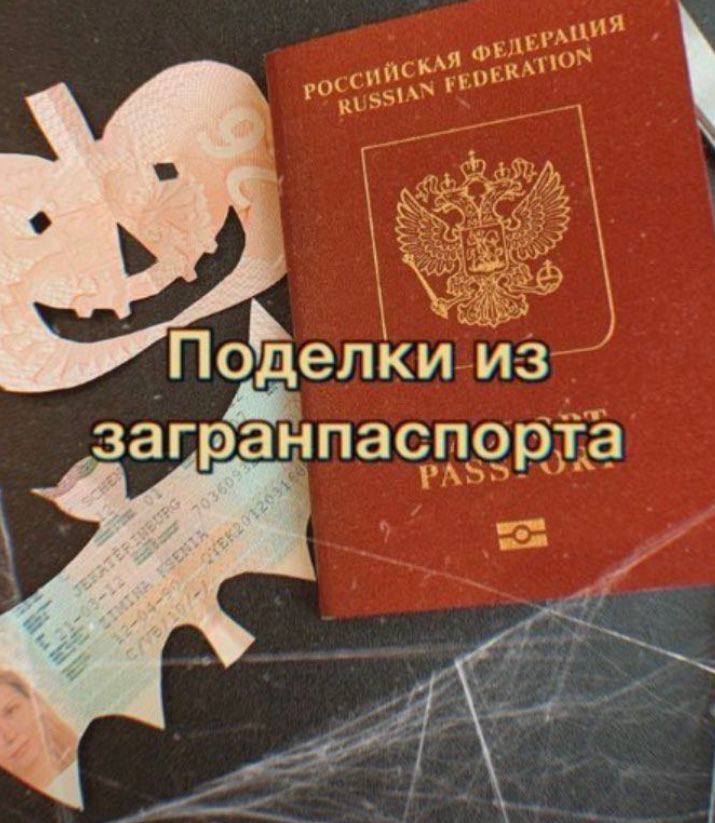 И Поделки 3 загранпаспорта