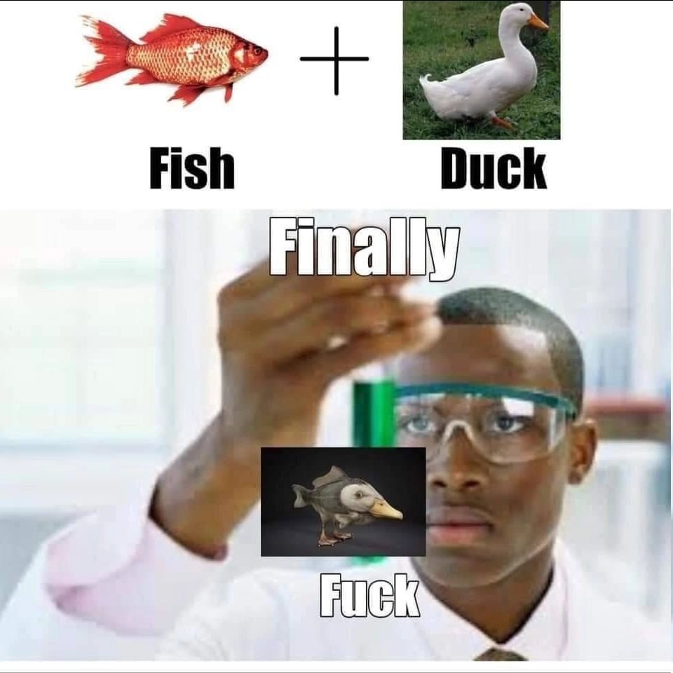 Fish Duck Finally Fuck