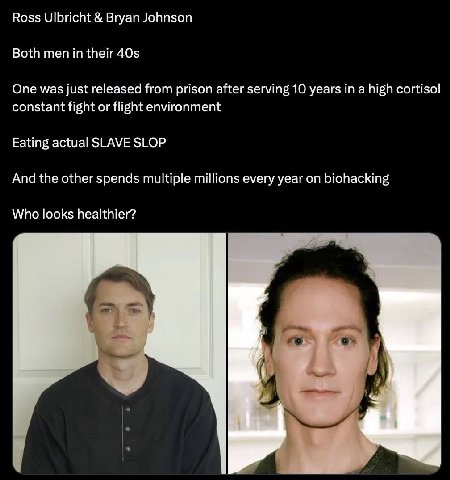 Ross Ulbricht Bryan Johnson Both men in their One was just released from prison after serving 10 years in a high cortisol constant fight or flight environment Eating actual SLAVE SLOP And the other sp