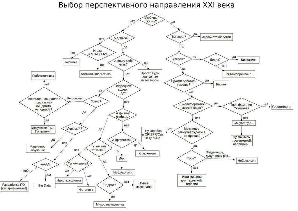 Выбор перспективного направления века нет, нет нет 8 STALKER? да да тебя да Просто будь нет венчурным инвестором и работать нет Очередной умеешь? да кодер, да? нет ечтатель-социопат с Не совсем призна