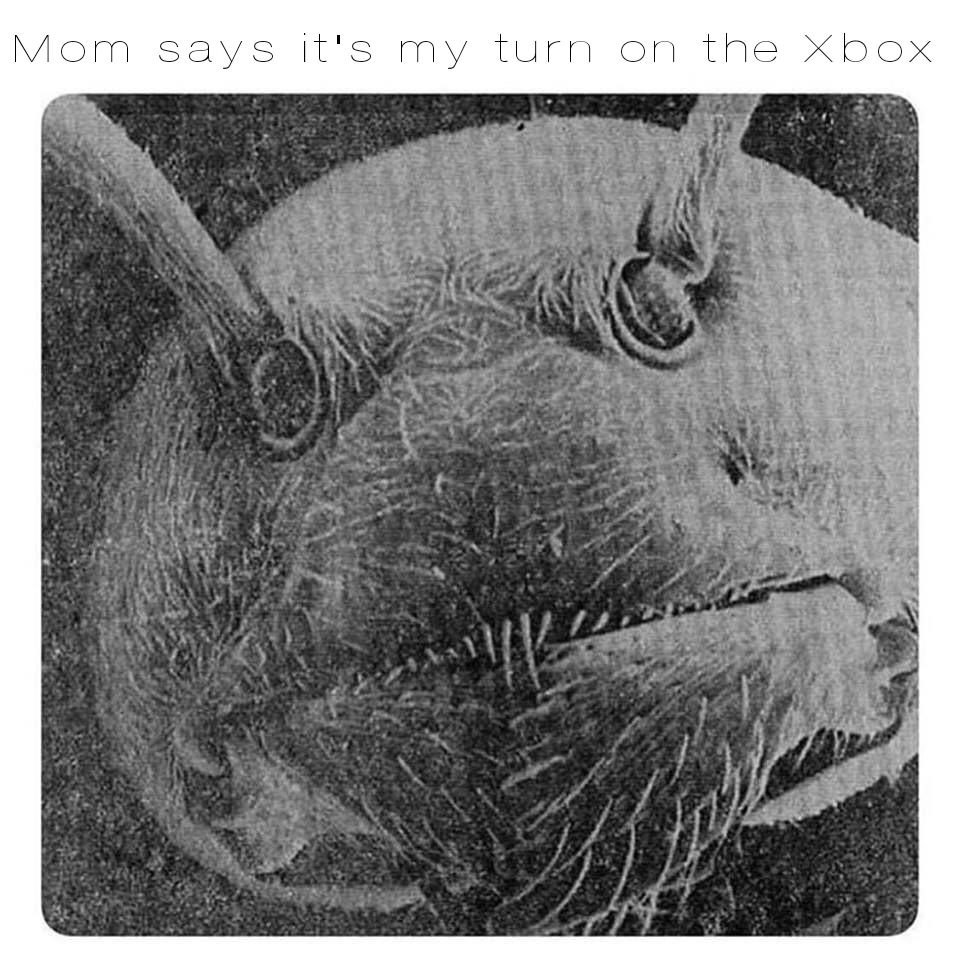 Мот Say it's my turn on the Бох aN