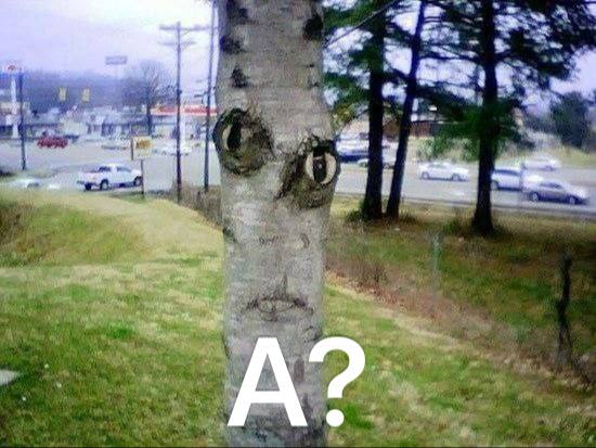be Sap we 4 А