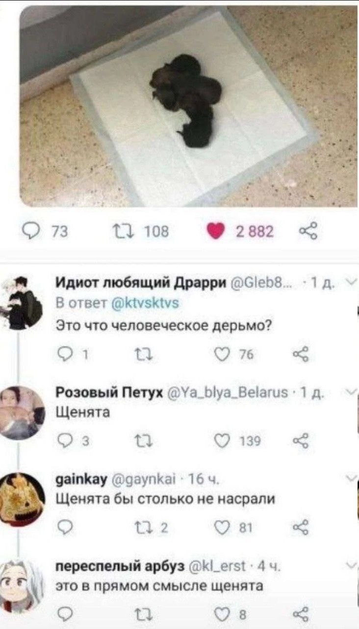 73 1} 108 2882 Идиот любящий Драрри 1a В ответ Это что человеческое дерьмо? 76 Розовый Петух @Ya_blya_Belarus 1 Щенята 139 gainkay @gaynkai 16 у Щенята бы столько не насрали 81 переспелый арбуз 4 4. э