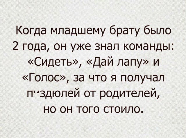 Когда младшему брату было 2 года, он уже знал команды: «Сидеть», «Дай лапу» и «Голос», за что я получал от родителей, но он того стоило.