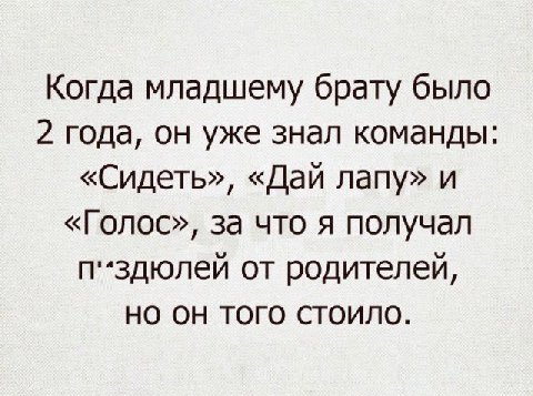 Когда младшему брату было 2 года, он уже знал команды: «Сидеть», «Дай лапу» и «Голос», за что я получал от родителей, но он того стоило.