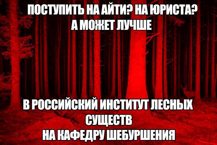 ПОСТУПИТЬ НА АЙТИ? НА ЮРИСТА? А МОНЕТ ЛУЧШЕ В РОССИЙСКИЙ ИНСТИТУТ ЛЕСНЫХ СУЩЕСТВ НА КАФЕДРУ ШЕБУРШЕНИЯ