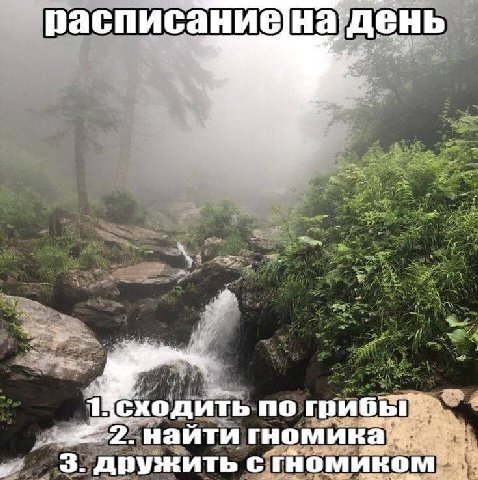 расписание надень найти дружить с