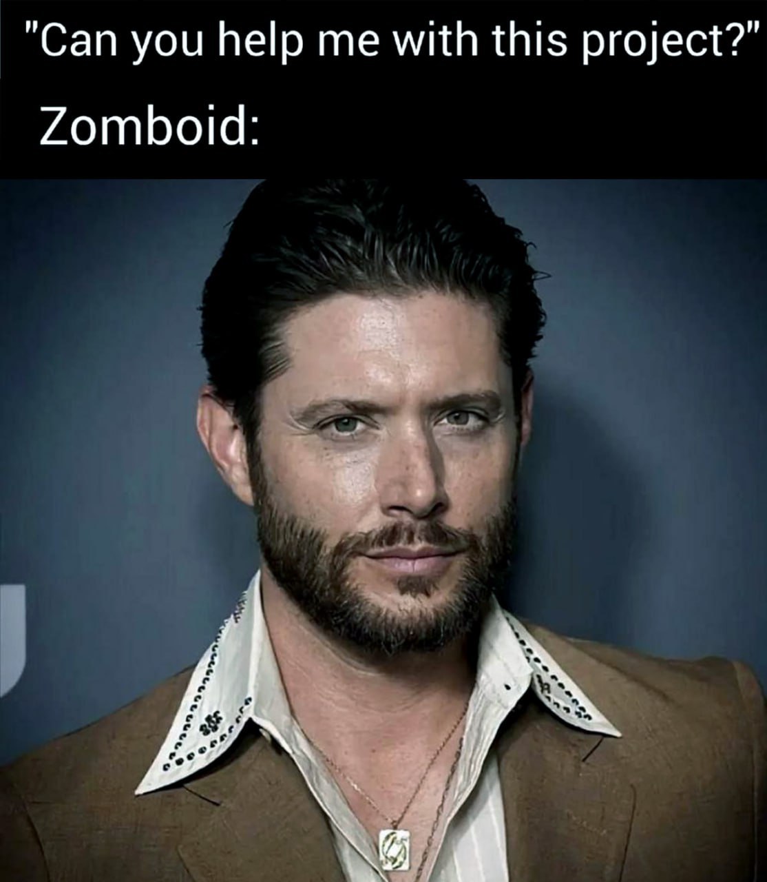 "Can you help me with this project?” Zomboid: