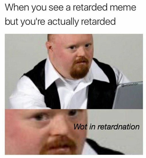When you see a retarded meme but you're actually retarded in retardnation