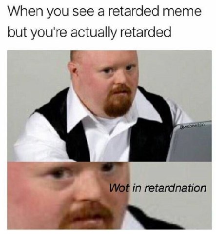 When you see a retarded meme but you're actually retarded in retardnation